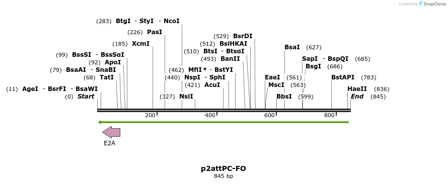 80371_map