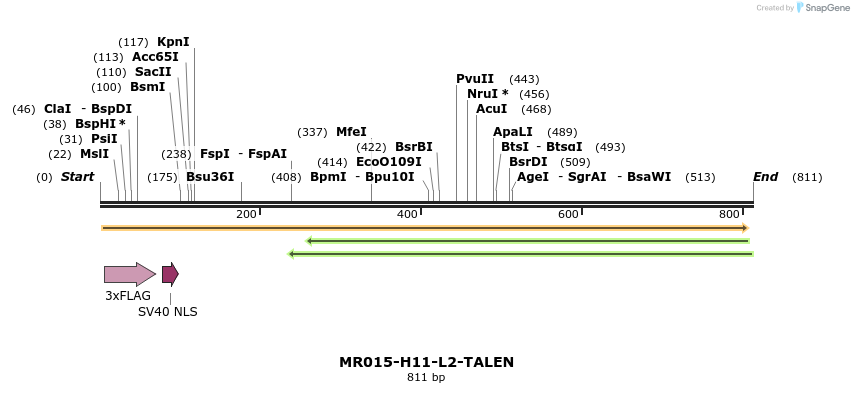 80376_map