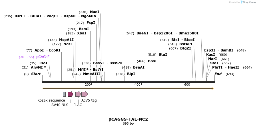80381_map
