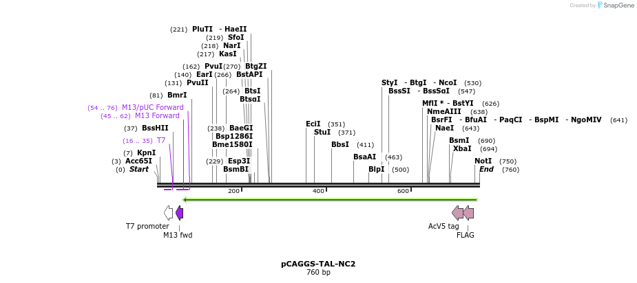 80386_map