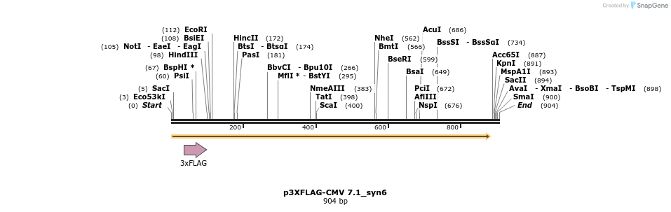 80399_map