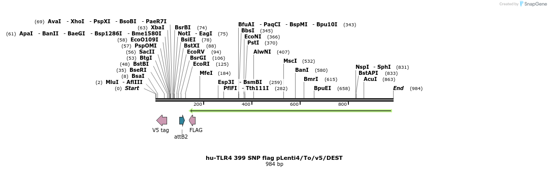 80400_map