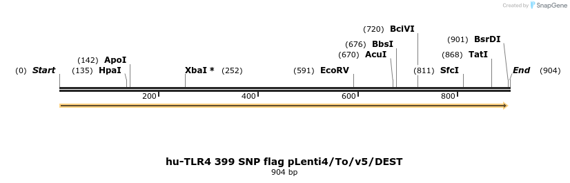 80403_map