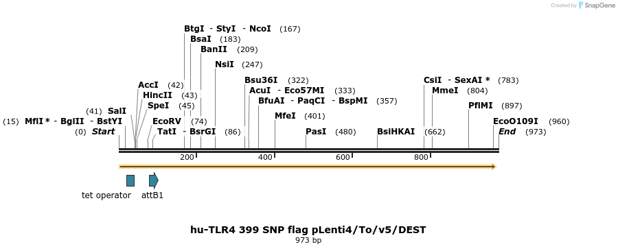 80404_map