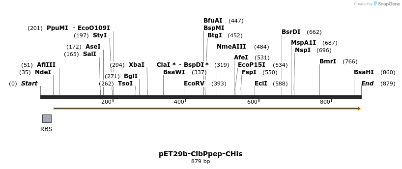 80407_map