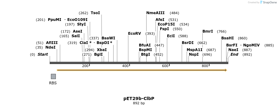 80412_map