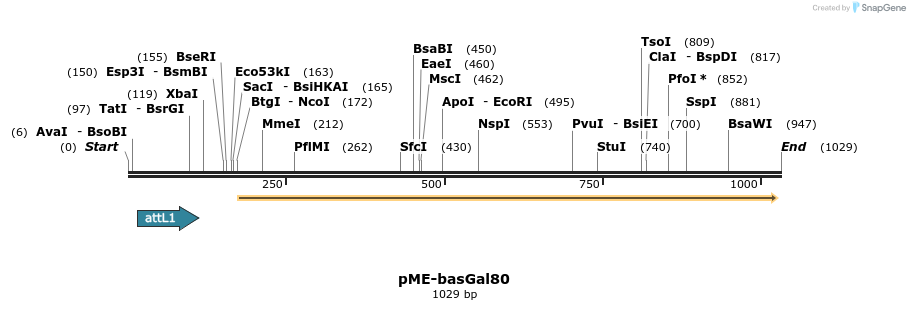 80413_map