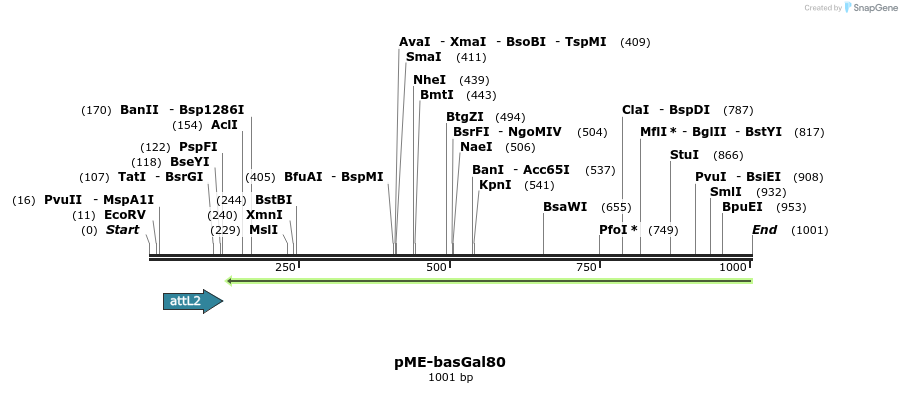 80418_map