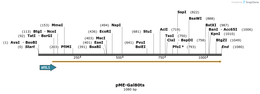 80422_map