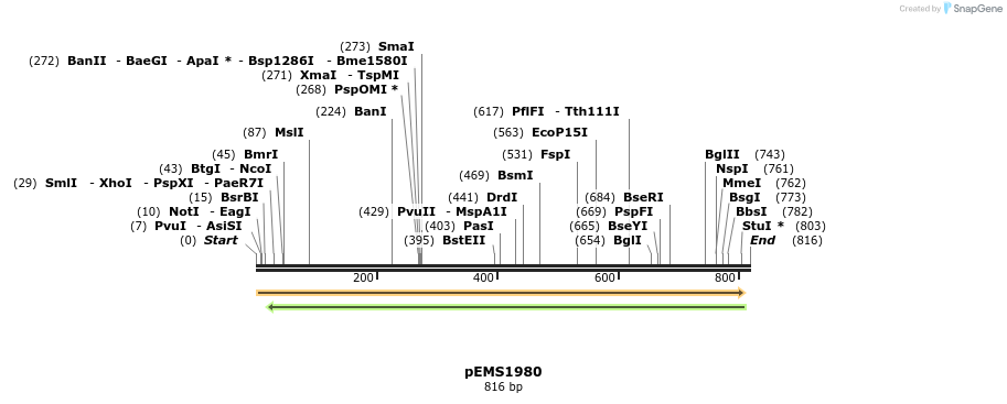 80423_map