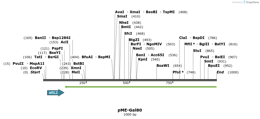 80427_map