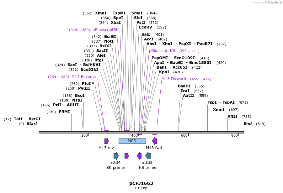 80432_map