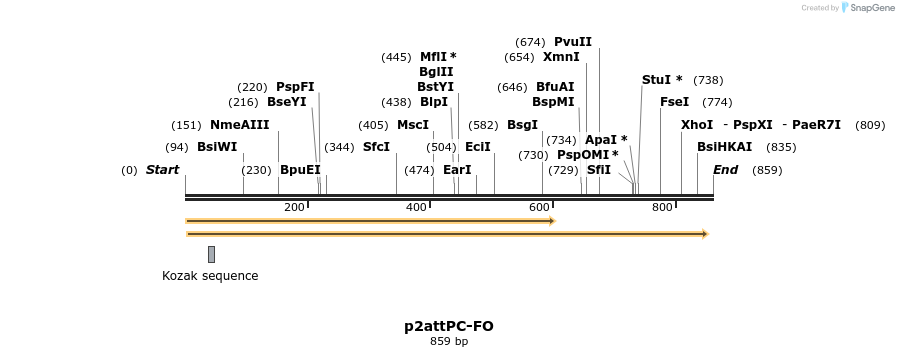 80433_map