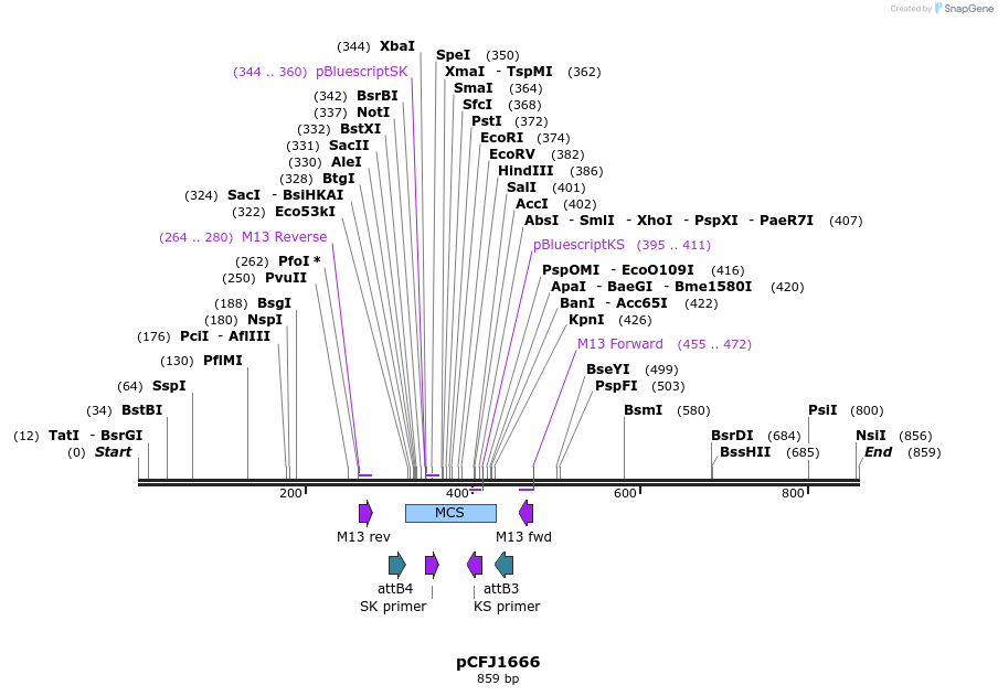 80434_map