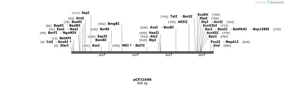 80435_map