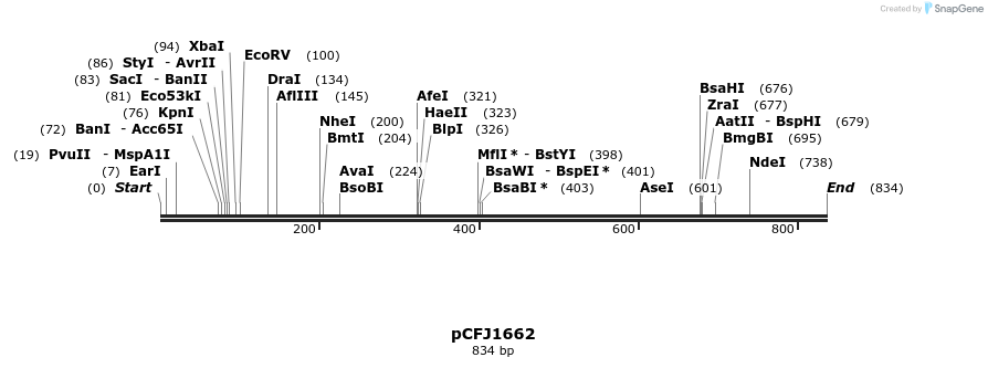 80437_map