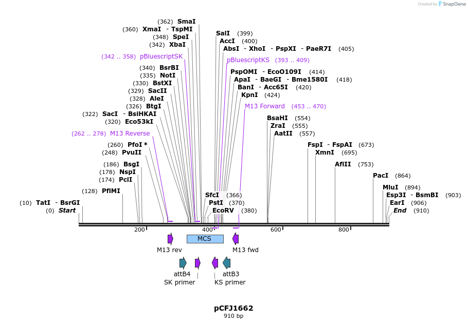 80438_map