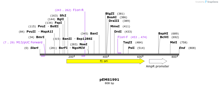 80439_map