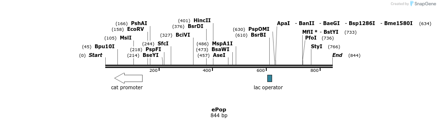 80441_map