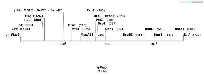 80442_map