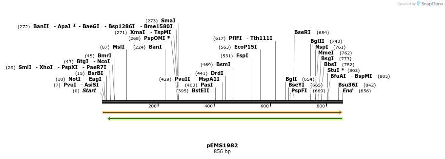80443_map