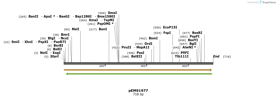 80444_map