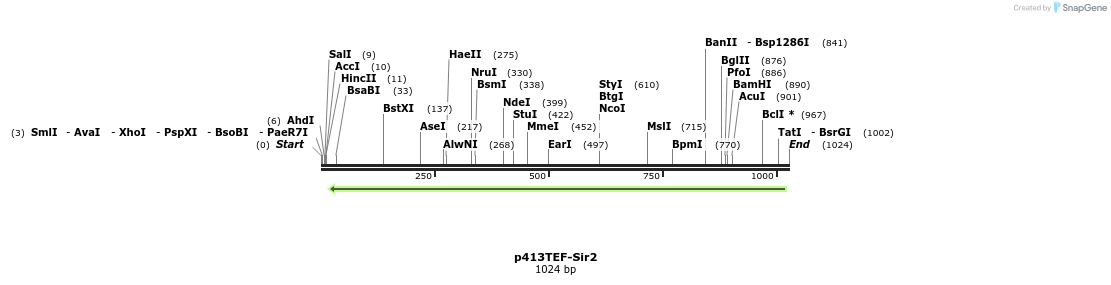 80446_map