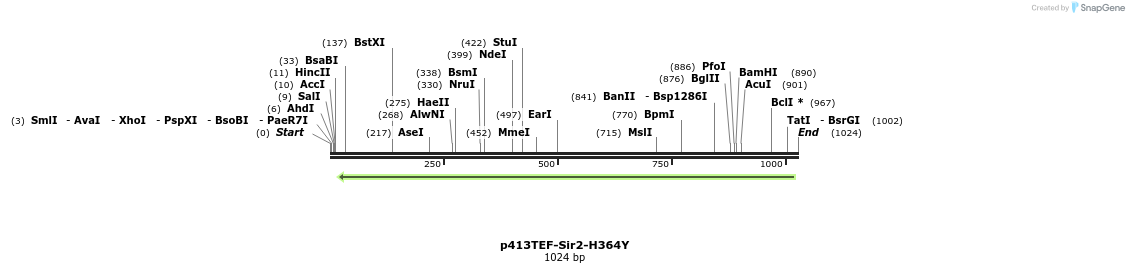 80448_map