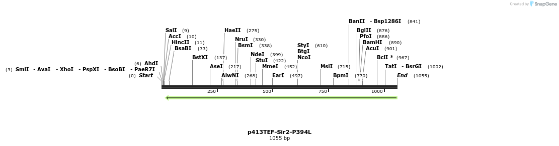 80451_map