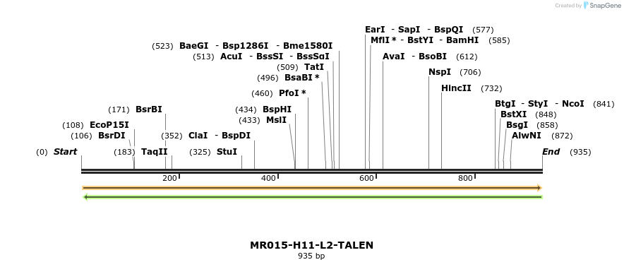 80452_map