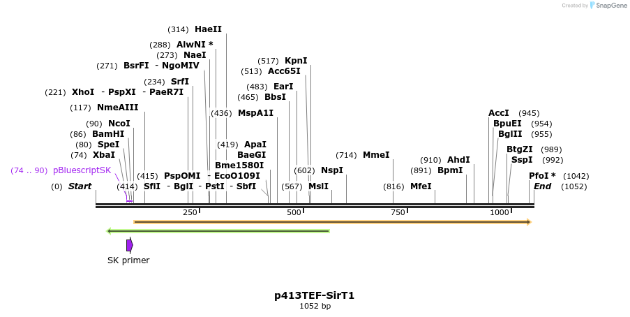 80456_map
