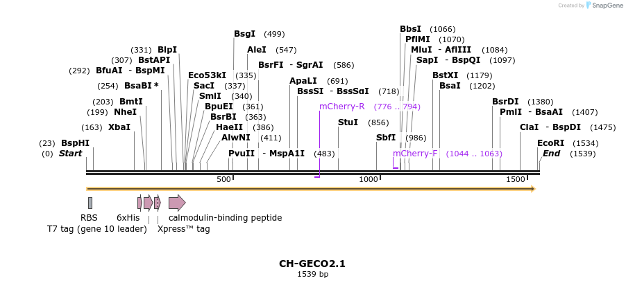 80466_map