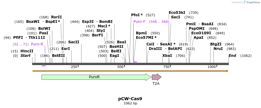 80471_map