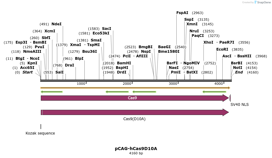 80474_map