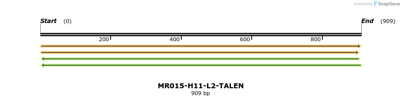 80484_map