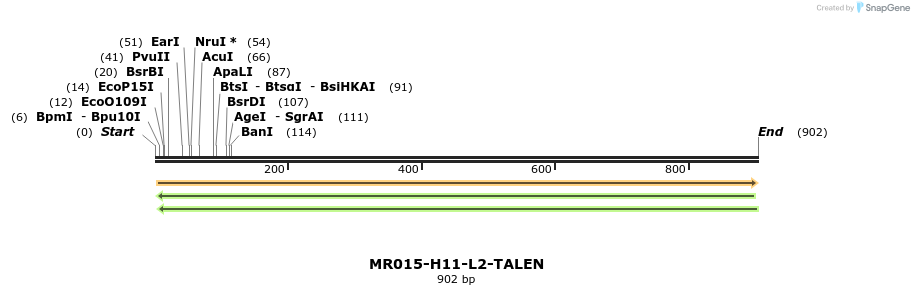 80488_map