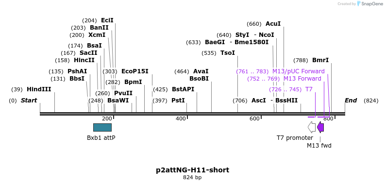 80509_map
