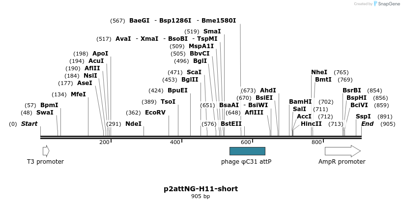 80510_map