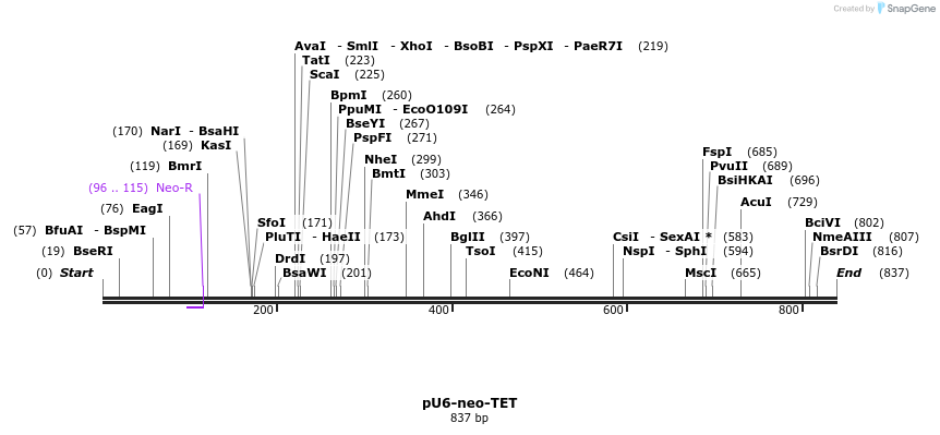 80511_map