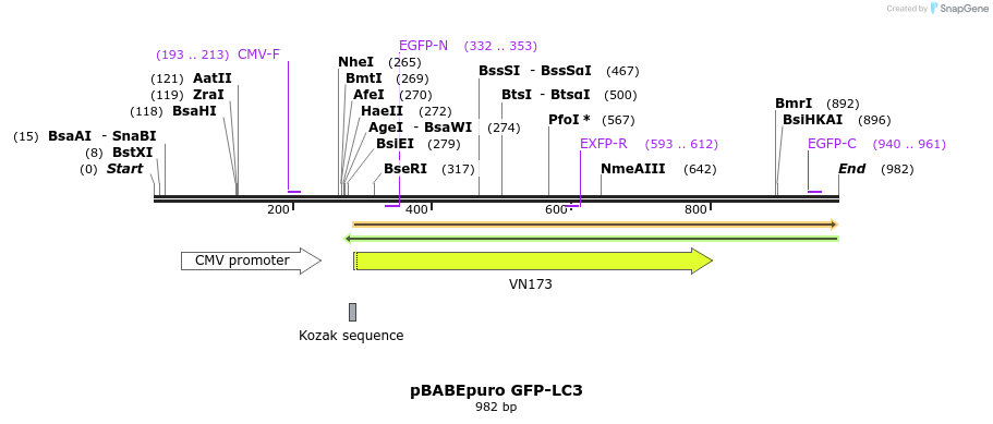 80513_map