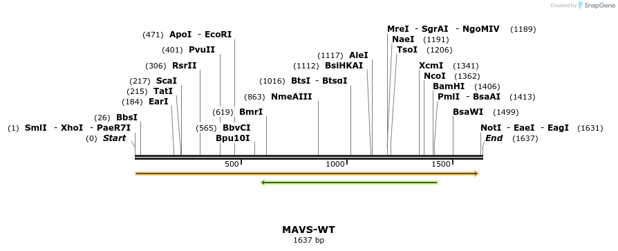 80514_map
