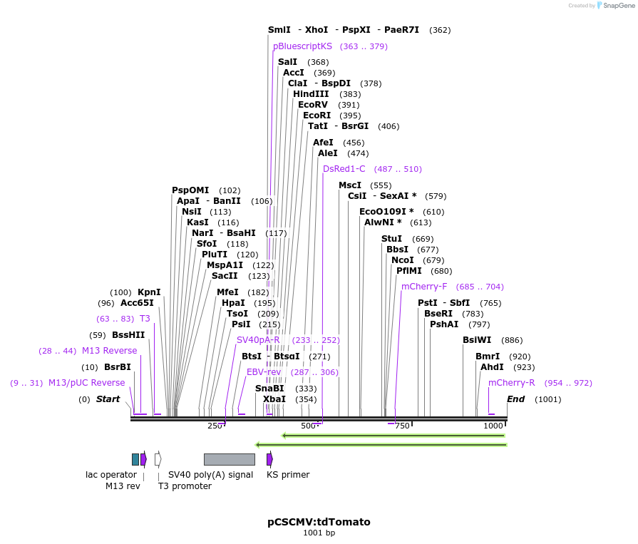 80515_map