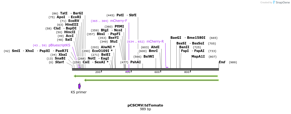 80518_map