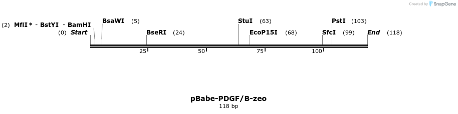 80520_map