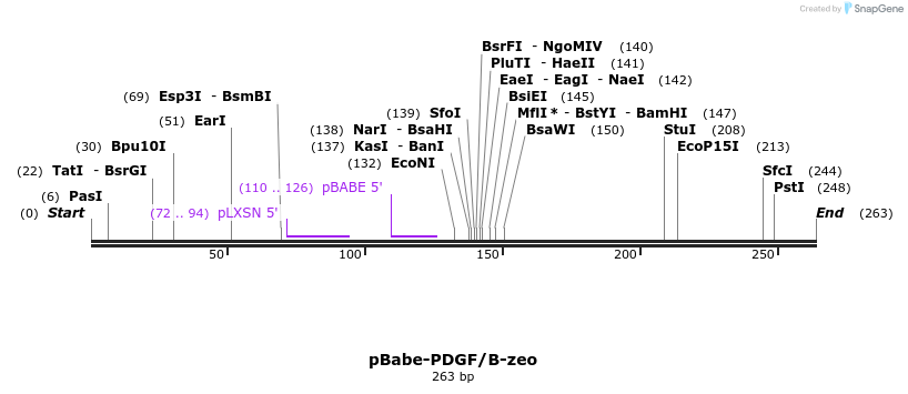 80521_map