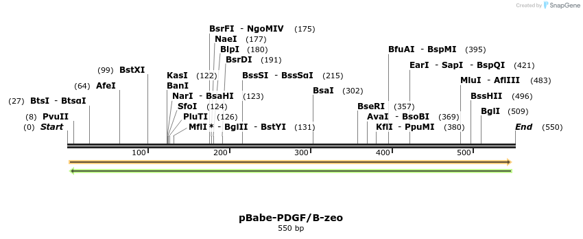 80522_map