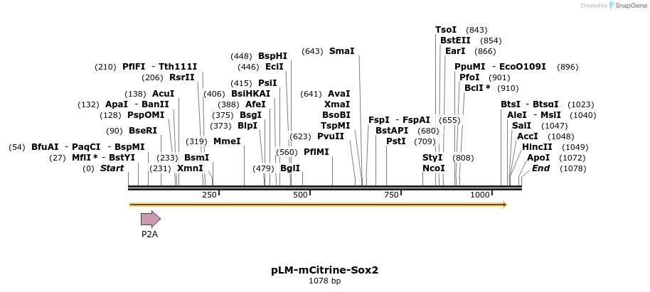 80523_map