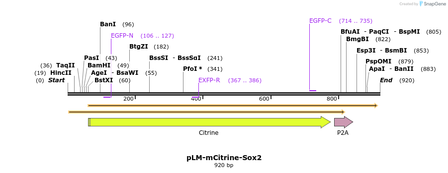 80524_map