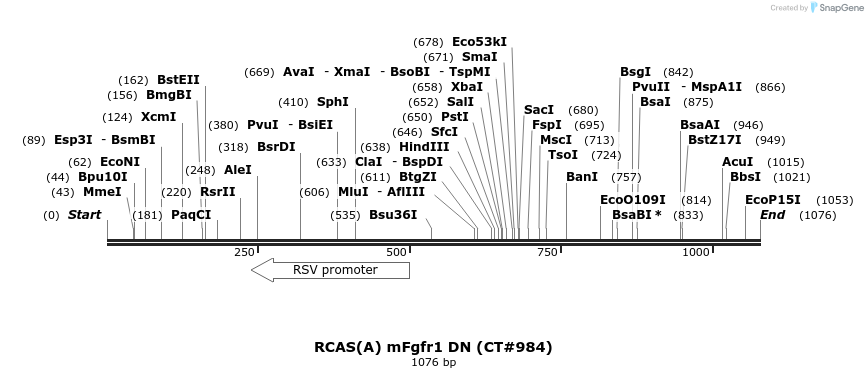 80527_map