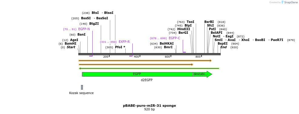 80528_map